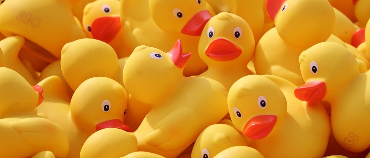 Duck.ai